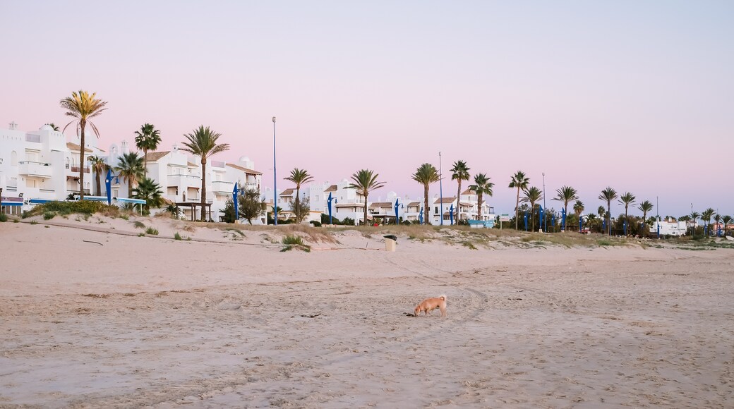 Playa de Sancti Petri