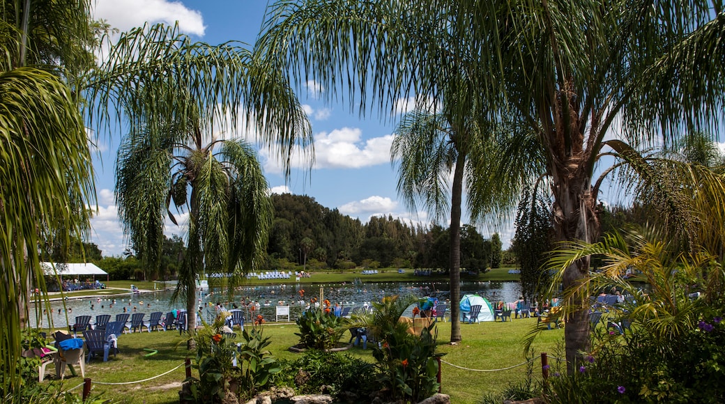 Aguas termales Warm Mineral Springs