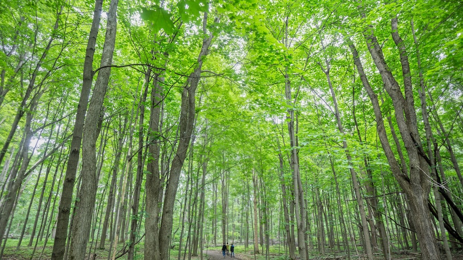 Parque Nacional Oka