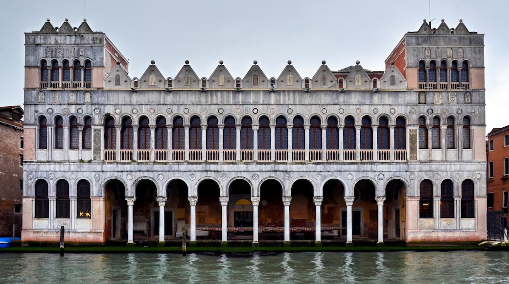 พิพิธภัณฑ์ประวัติศาสตร์ธรรมชาติ Venetian