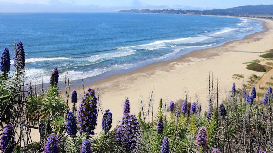 Stinson Beach
