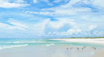 White Sands, Pensacola Beach, Florida, Stati Uniti d'America