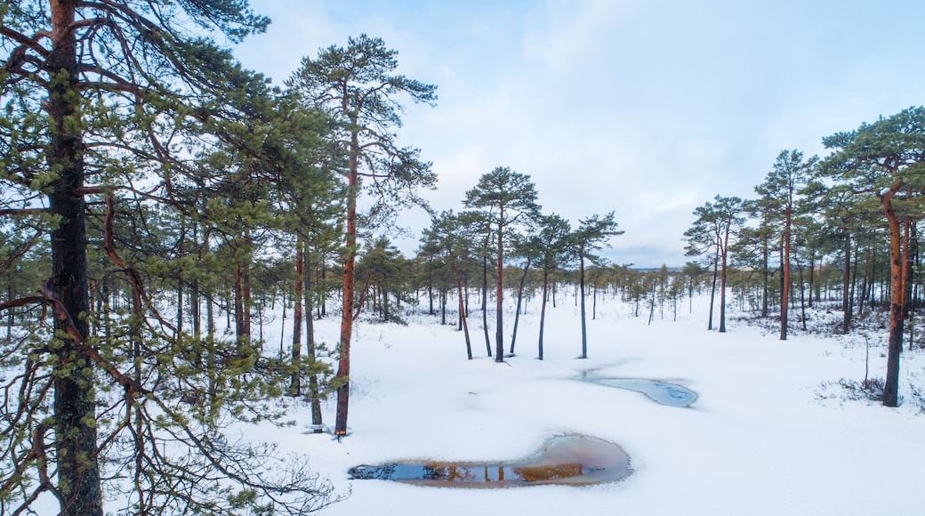 Soomaa National Park