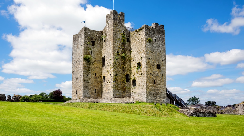 Trim Castle