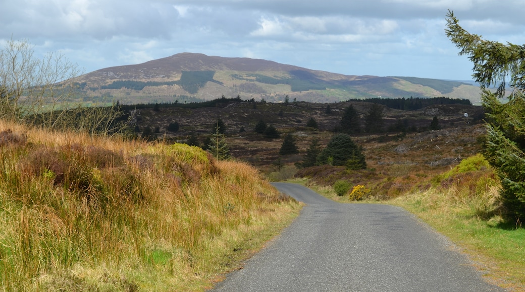 Cooley Mountains