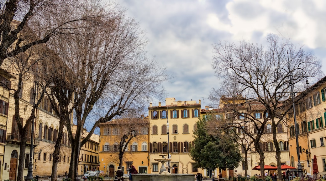 Piazza Santo Spirito