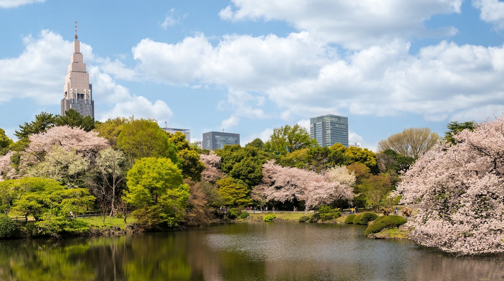 Shinjuku Gyoen National Garden, Tokyo, Tokyo Prefecture, Japan