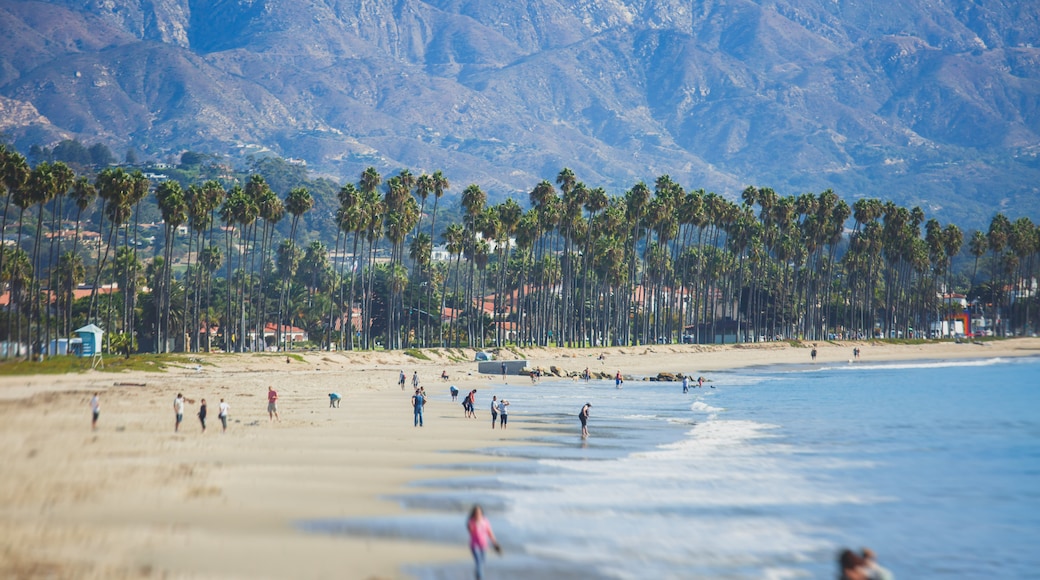 Leadbetter Beach, Santa Barbara, California, United States of America