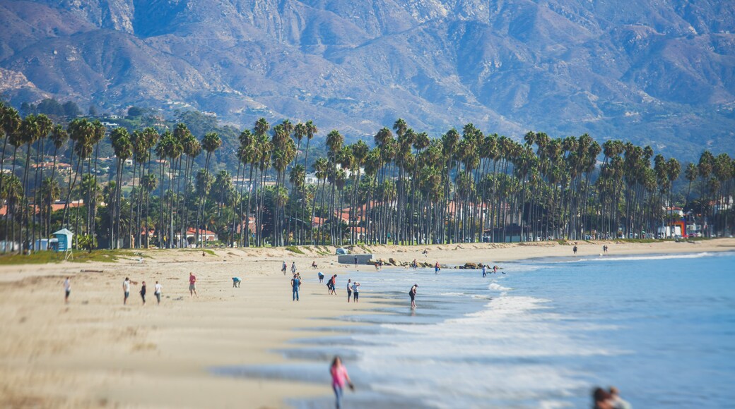 Leadbetter Beach