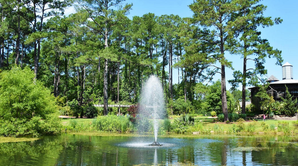 Bald Head Island