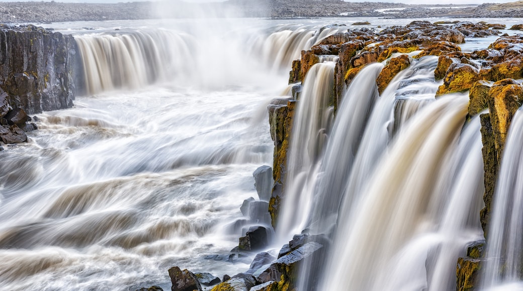 Jökulsárgljúfur Nationalpark