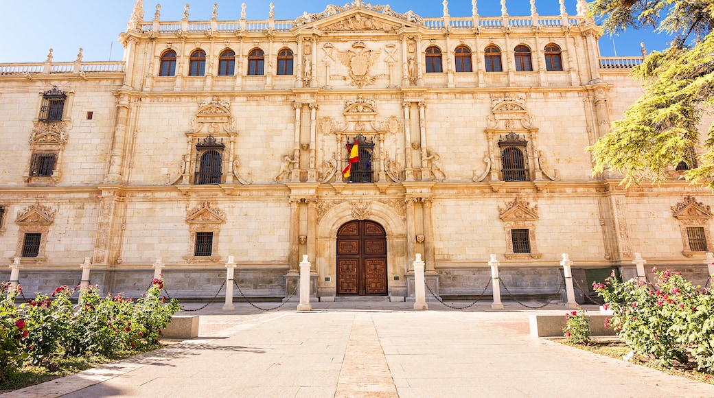 Universidad de Alcalá de Henares