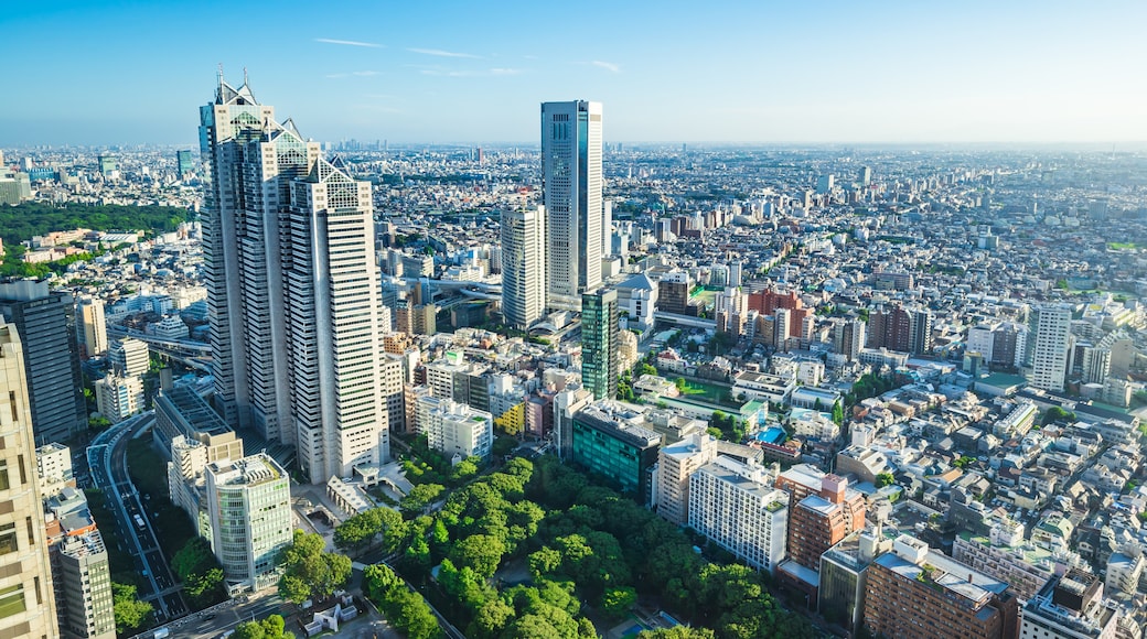 Torre cittadina dell'Opera di Tokyo