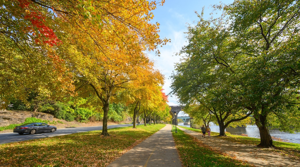 Schuylkill River Trail