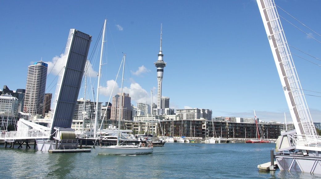 Sky Tower, Auckland, Auckland Region, New Zealand