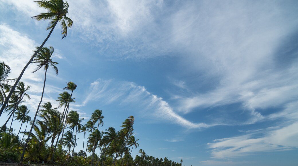 เขตอนุรักษ์สิ่งแวดล้อม Delta do Parnaíba