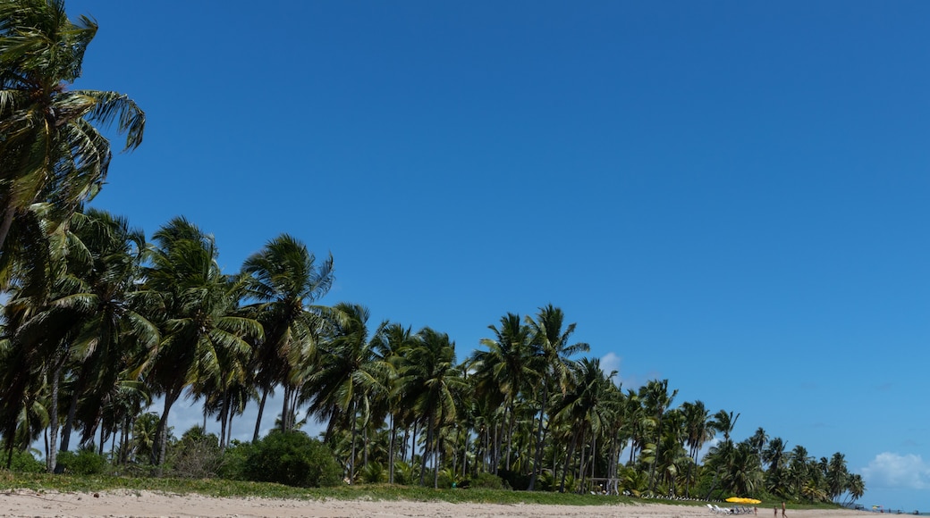 Porto de Pedras