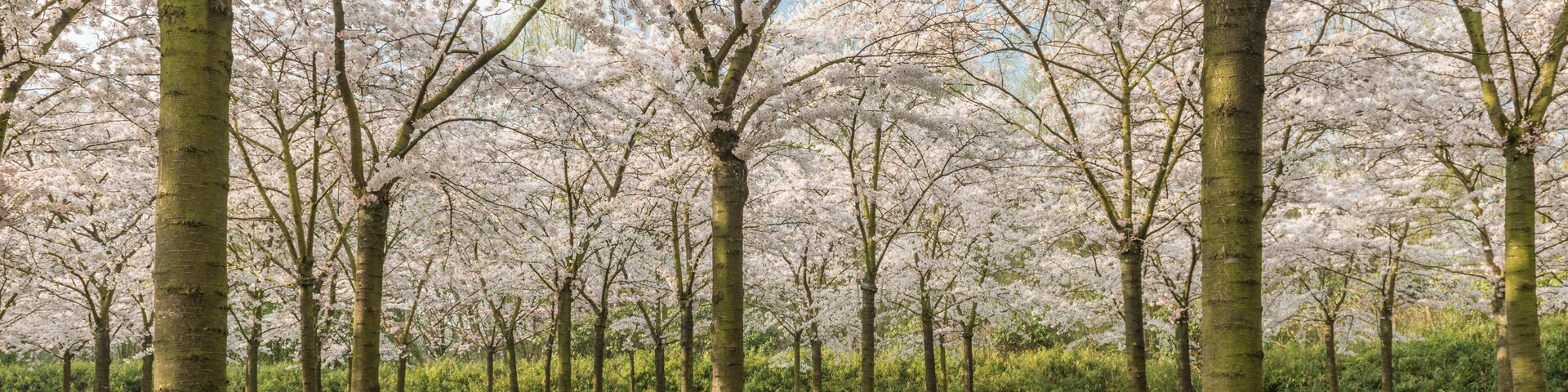 Amstelveen, North Holland, Netherlands