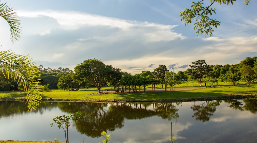 Jardim Goiás