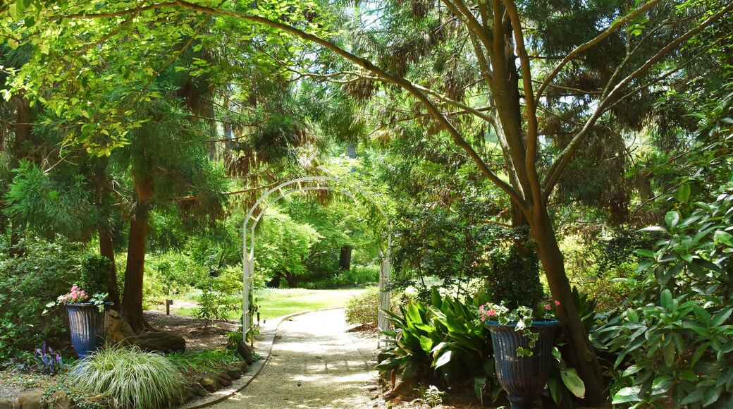 Bald Head Island