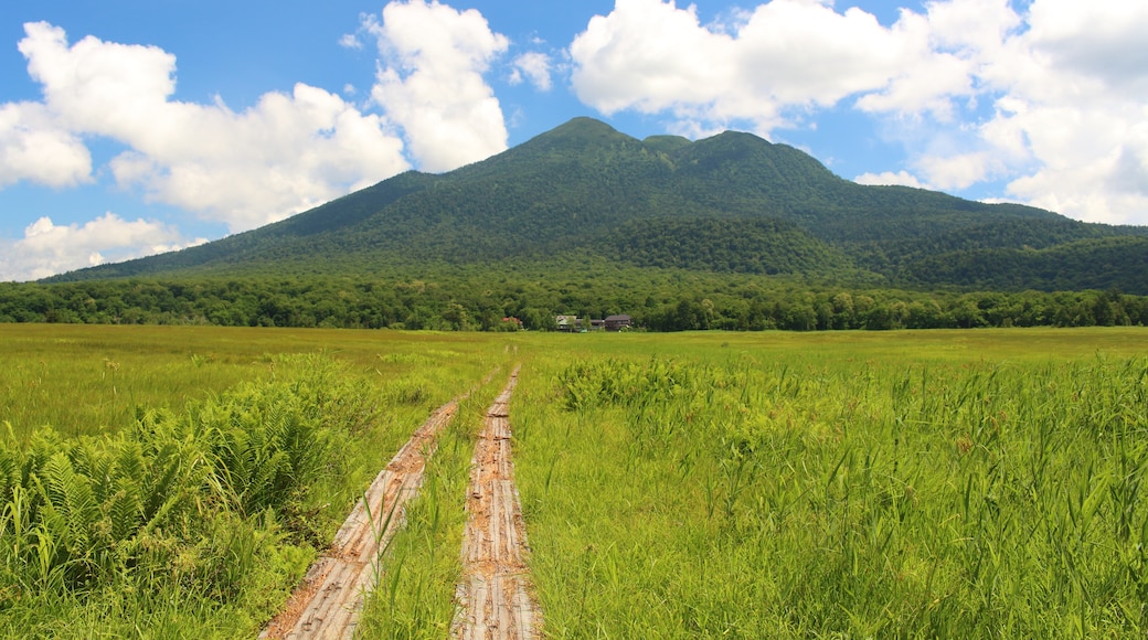 Oze National Park