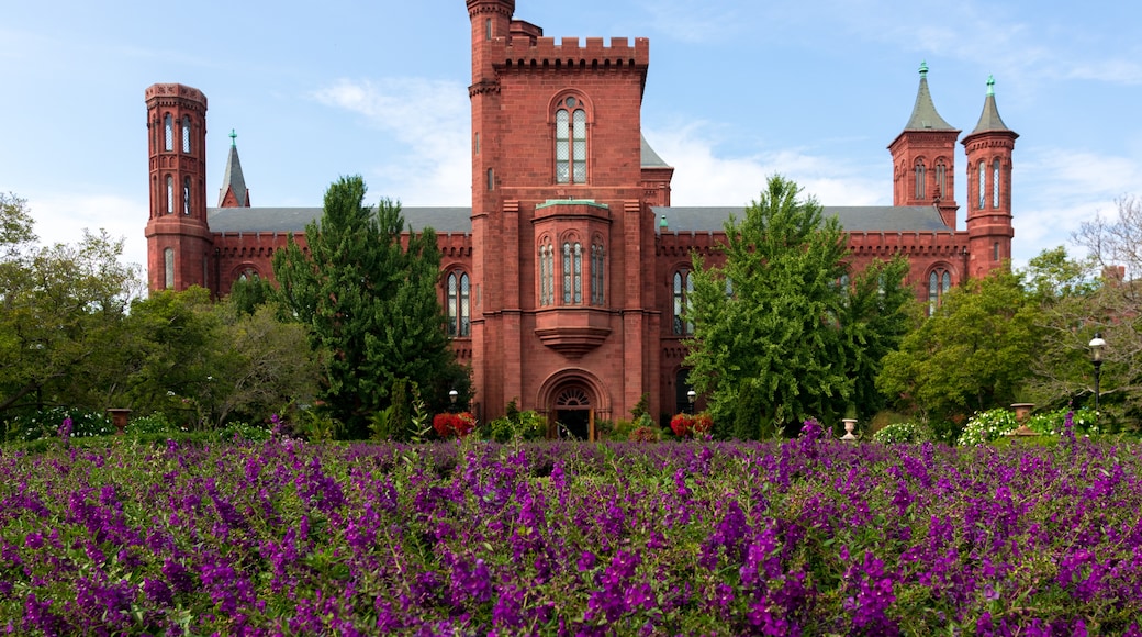 Smithsonian Institution, Washington, District of Columbia, United States of America