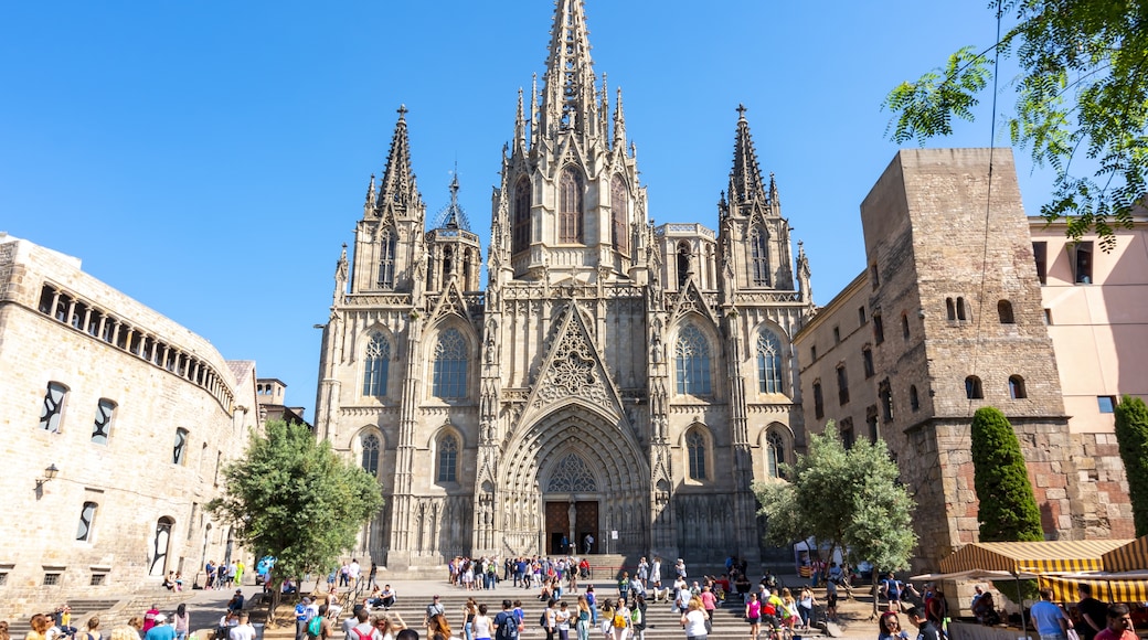 Katedral Barcelona, Barcelona, Catalonia, Spanyol