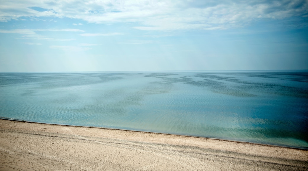 Curonian Spit