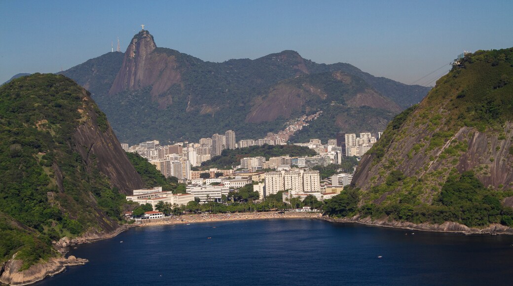 Bonsucesso