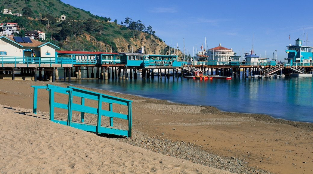 Catalina Island handelskammare och turistbyrå