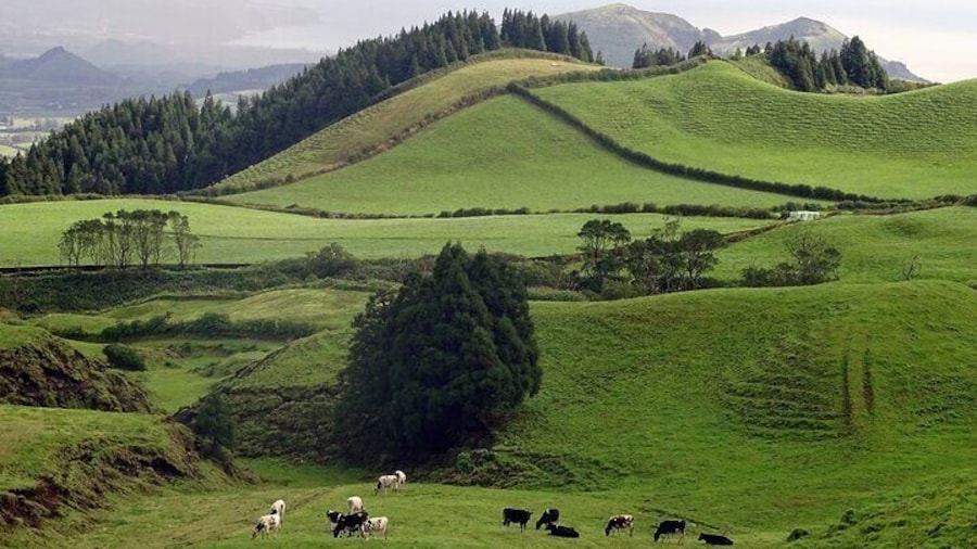 Sete Cidades by Van
