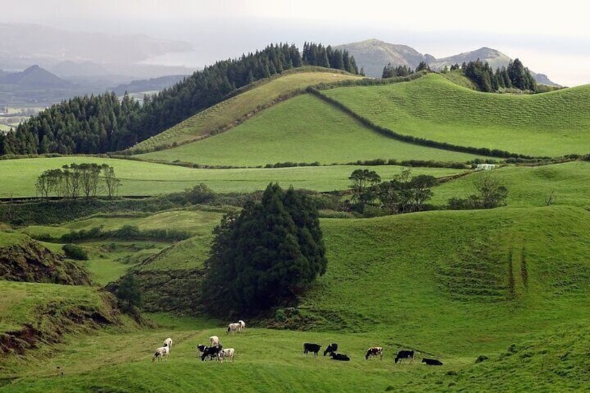 Sete Cidades by Van (half day)