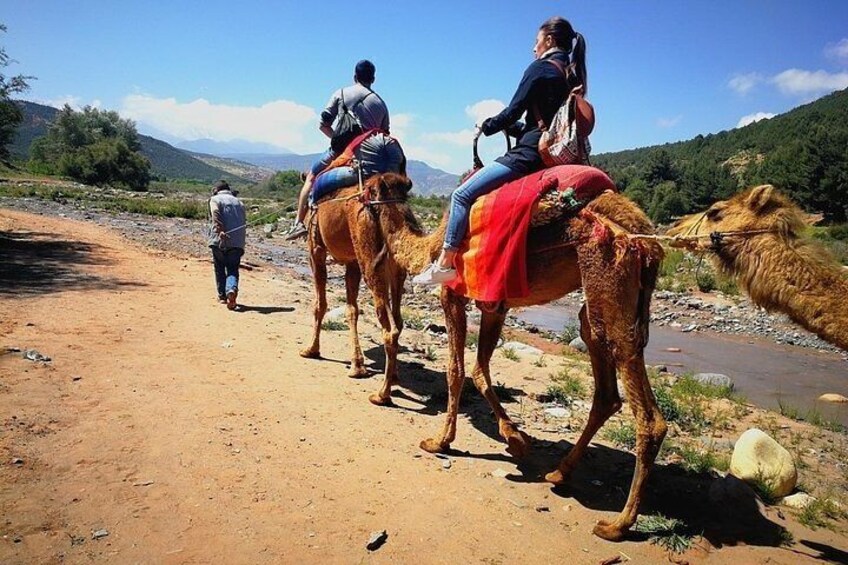 Atlas Mountains Day Trip From Marrakech 3 Valleys & Berber Villages & Camel Ride