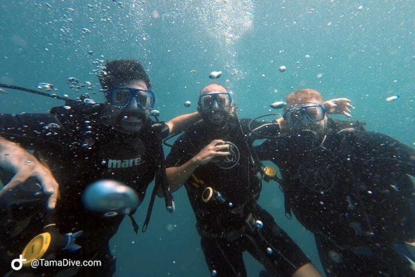 Scuba divers