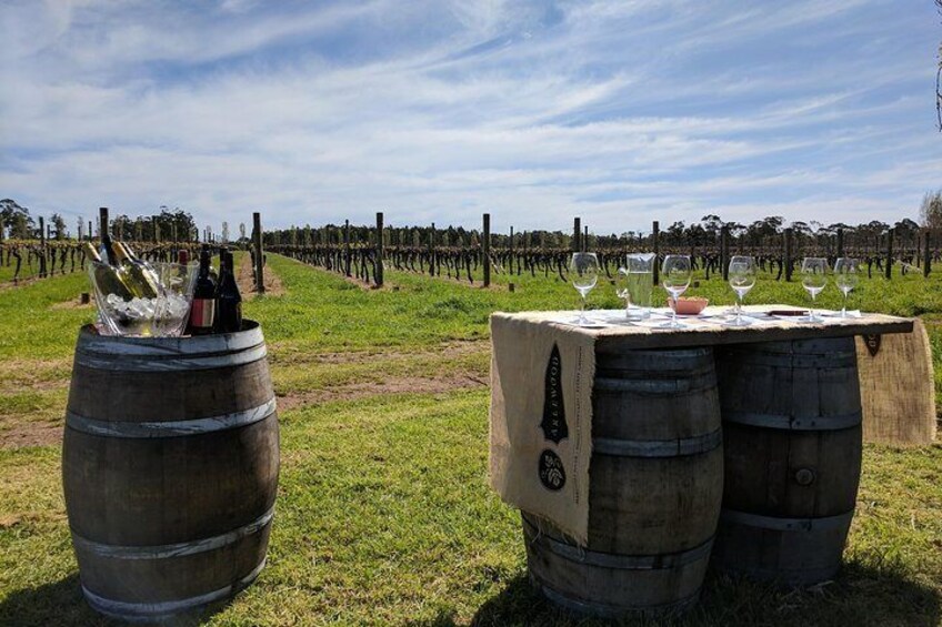 Vineyard tastings
