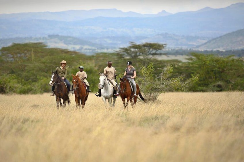 Horse back Riding at Solio conservancy 