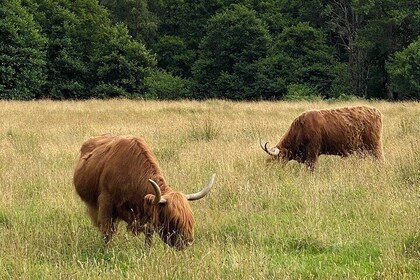 Private Day trip to Loch Ness and Scottish Highlands via Glencoe