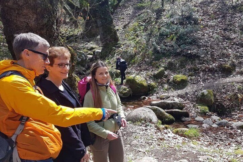 Easy Hiking Adventure at Meteora