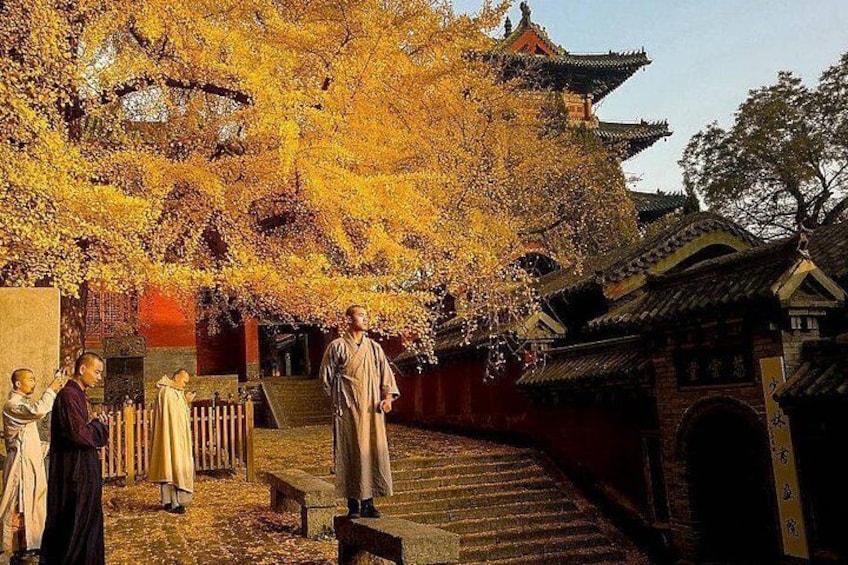 Shaolin Temple