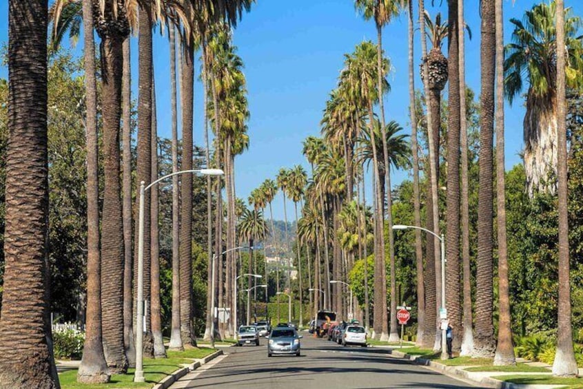 Deluxe Los Angeles 5-Hour Limo Tour with Drinks Included