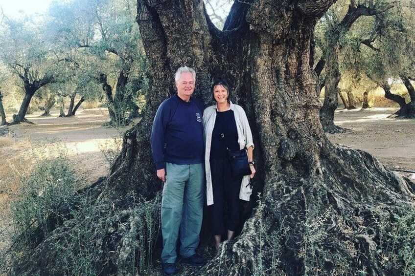 Olive Oil Tour and Visit to Belchite Old Town