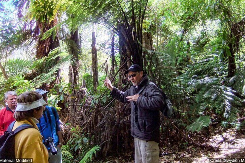 New Zealand: See & Do it ALL in 10 Days, 1st Class Traveling