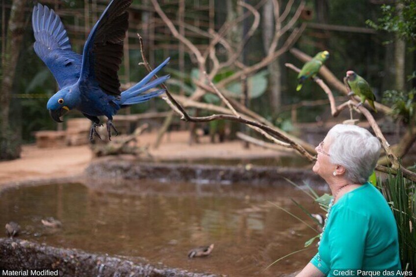 South Brazil: See & Do it ALL in 13 Days, 1st Class Traveling