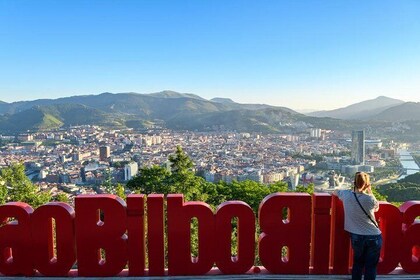 Bilbao Panoramic Tour 