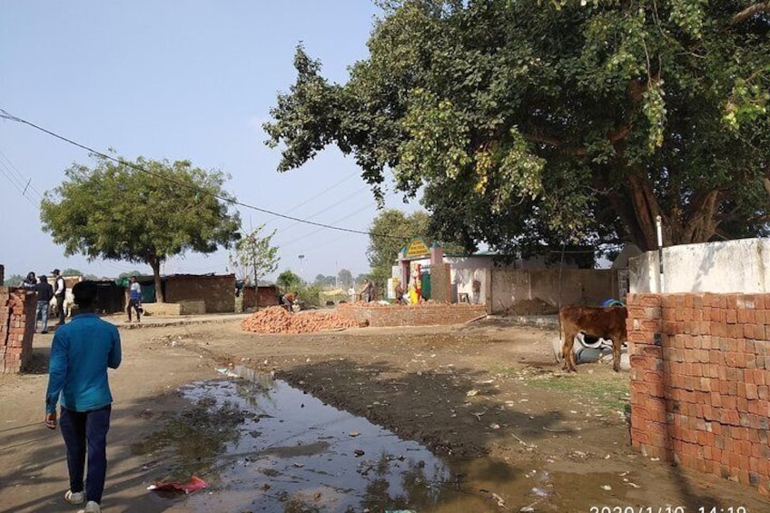 Village Tour