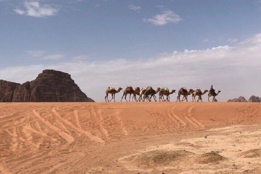 Full-Day Private Tour in Petra with Hotel Pick-Up