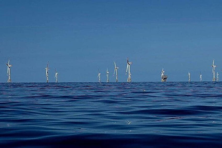 Admire the windmills of the North Sea up close