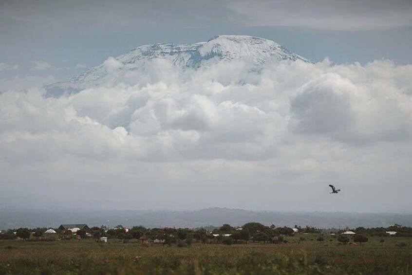 Maasai cultural village and hotsprings