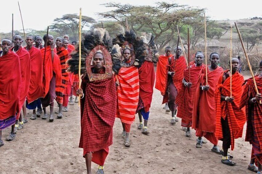 Maasai village visit and Chemka hot-springs with hot lunch.