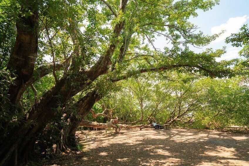 Maasai cultural village and hotsprings